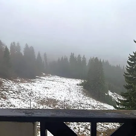 Snejanka 3*